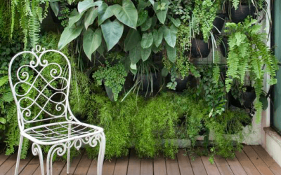 Valorizando Espaços com Jardim Vertical Escolha a opção que mais se encaixa com seu estilo de viver